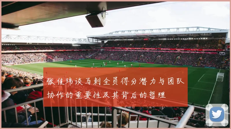 张佳玮谈马刺全员得分潜力与团队协作的重要性及其背后的哲理